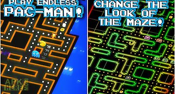 Pac-man 256 - endless maze
