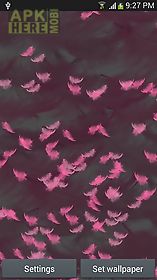 pink feather live wallpaper