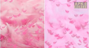 Pink feather Live Wallpaper
