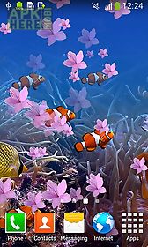 underwater live wallpaper