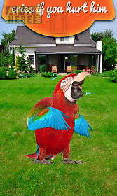 real talking parrot