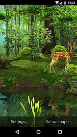 3d deer-nature  live wallpaper