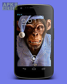3d monkey  live wallpaper