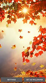 falling leaves live wallpaper