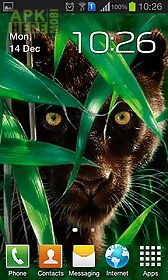 forest panther live wallpaper