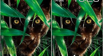 Forest panther Live Wallpaper