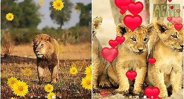 Lion by  free Live Wallpaper