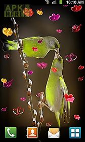 love: birds live wallpaper