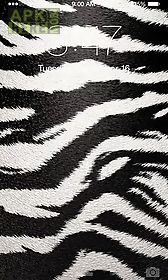 zebra live wallpaper
