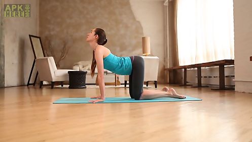 yoga flexibility for beginners