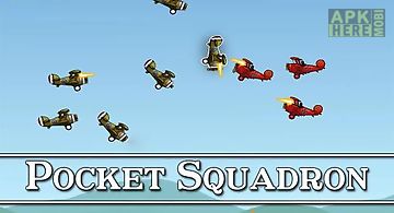 Pocket squadron