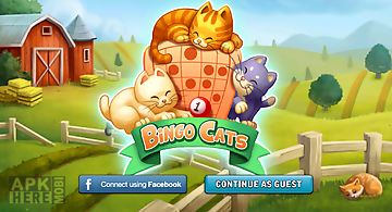 Bingo cats