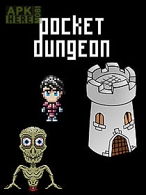 pocket dungeon