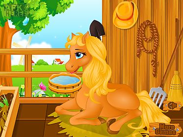 pony gives birth baby games