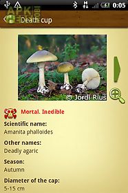 mushroom - mushtool