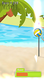 sonic volleyball beach