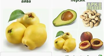 Russian in pictures food free