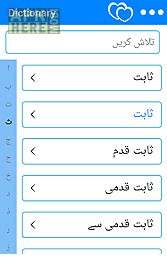 urdu 2 english dictionary