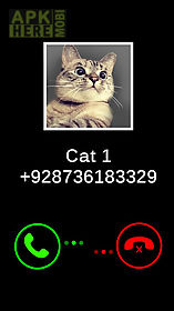 fake call cat joke