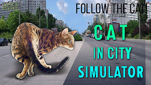 cat in city simulator