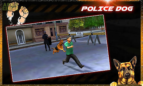crime city police dog chase