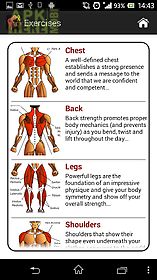 dumbbell muscle workout plan t