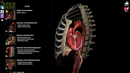 anatomy learning - 3d atlas