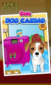 cute dog caring - kids game