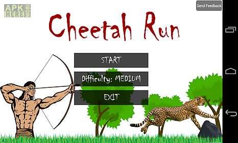 animal run - cheetah
