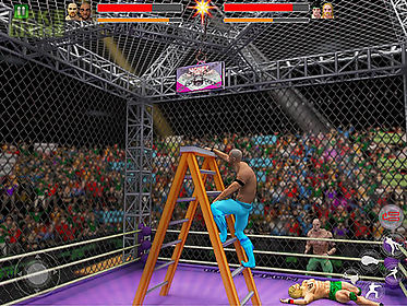 cage wrestling revolution: ladder match fighting