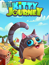 kitty journey
