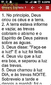 bíblia ave maria (português)