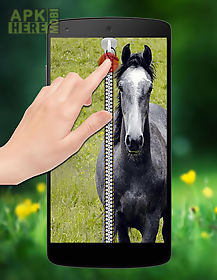 horse zipper lock
