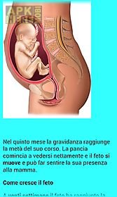 gravidanza mamma bambino free