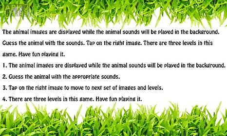 guess animal sound game
