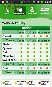 hayfever pollen forecast uk