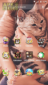 cute cats theme for apus