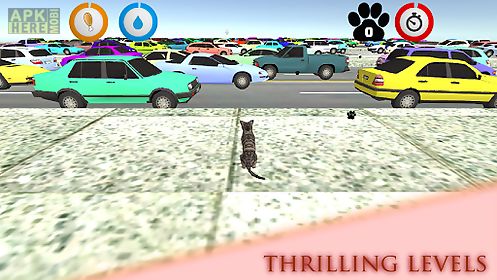 real cat simulator