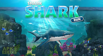 Shark shark run