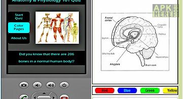 Anatomy and physiology quiz