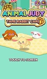 animal judy: tame rabbit care