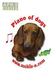 piano of dogs