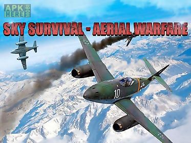 sky survival: aerial warfare