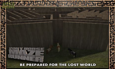 pony horse maze run simulator