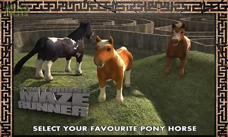 pony horse maze run simulator
