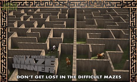 pony horse maze run simulator