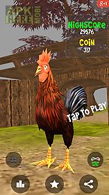 animal run - rooster