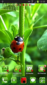 ladybird theme for go launcher