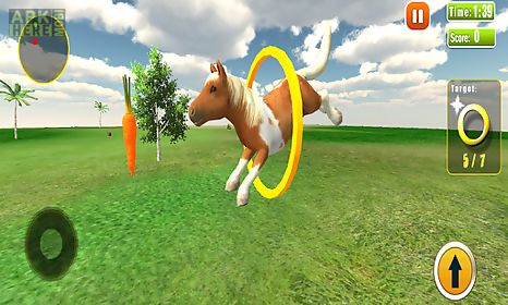 pony horse simulator 3d kids