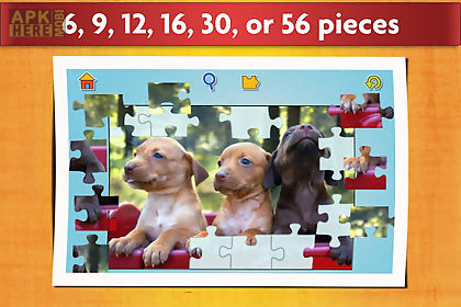 dogs jigsaw puzzles games kids